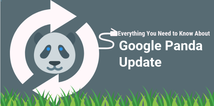 您需要了解的有关Google Panda Update的所有信息